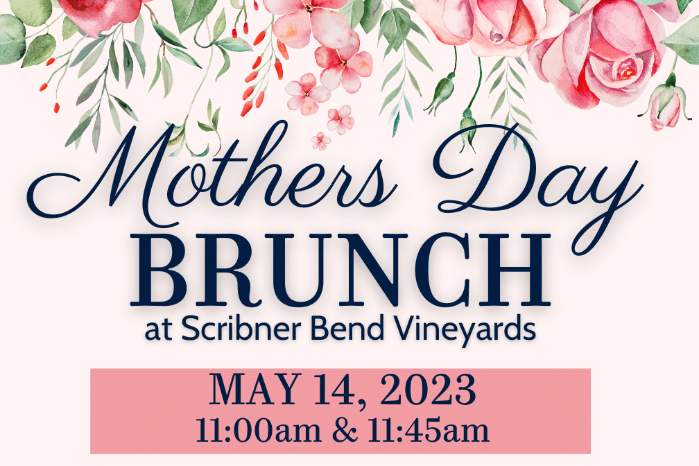 Mother's Day Brunch at Scribner Bend Vineyards May 14, 2023