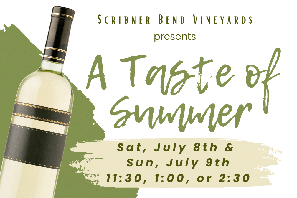 Winemaker Pairing at Scribner Bend Vineyards July 8 and 9, 2023, at 11:30, 1:00, and 2:30