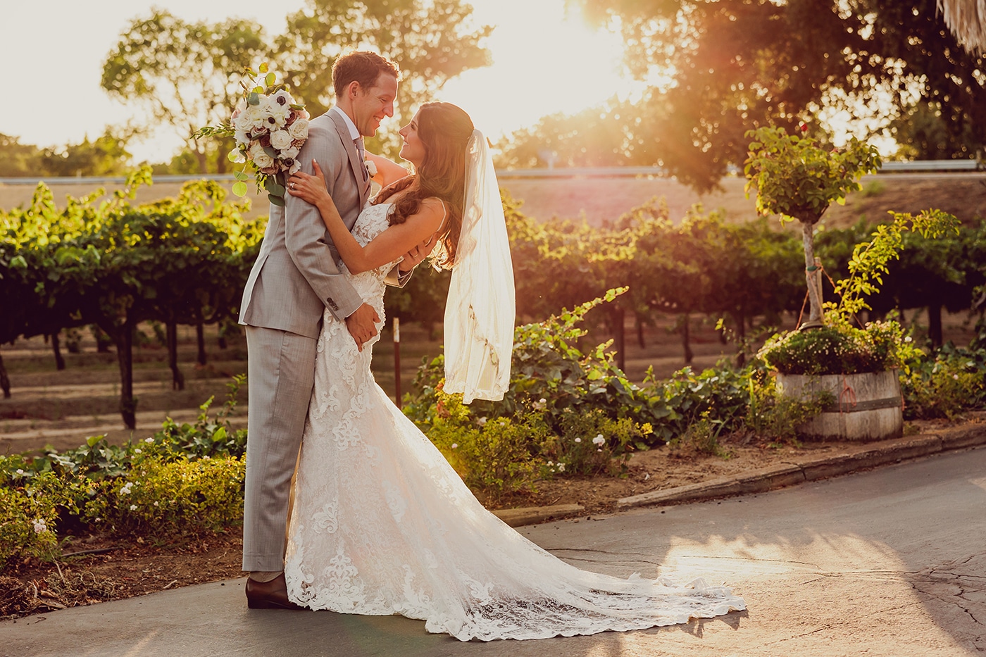 Groom in grey suit holds his bride at sunset with Sacramento grape vines in the background.