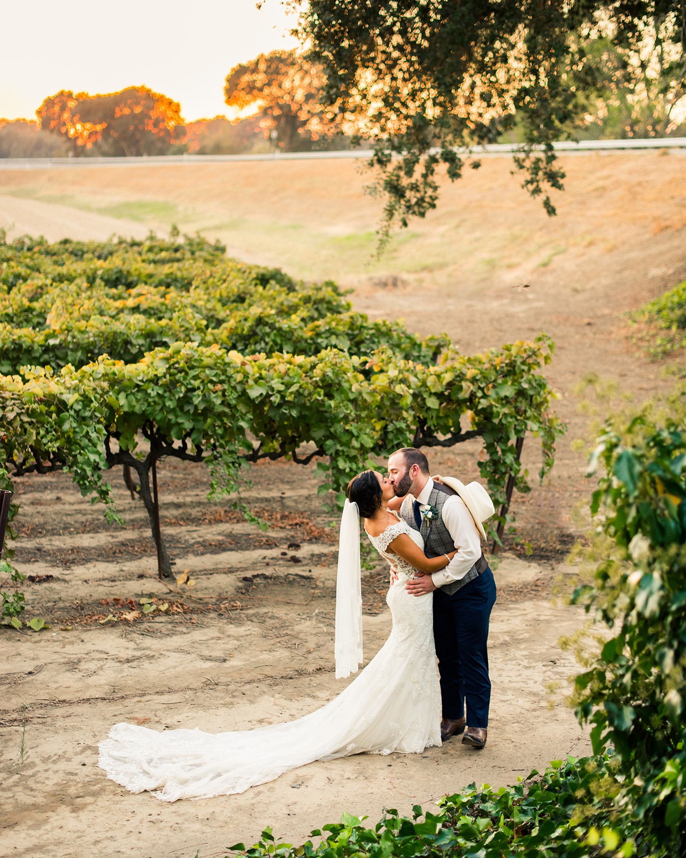 Bride and broom kiss beside grapevines at the end of their winery wedding.