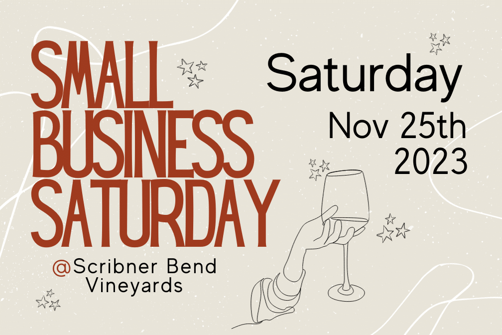 Small Business Saturday Nov 25th