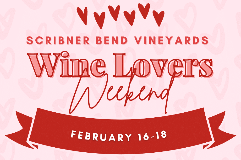 Scribner Bend Vineyards Wine Lovers Weekend for Valentines Day 2024