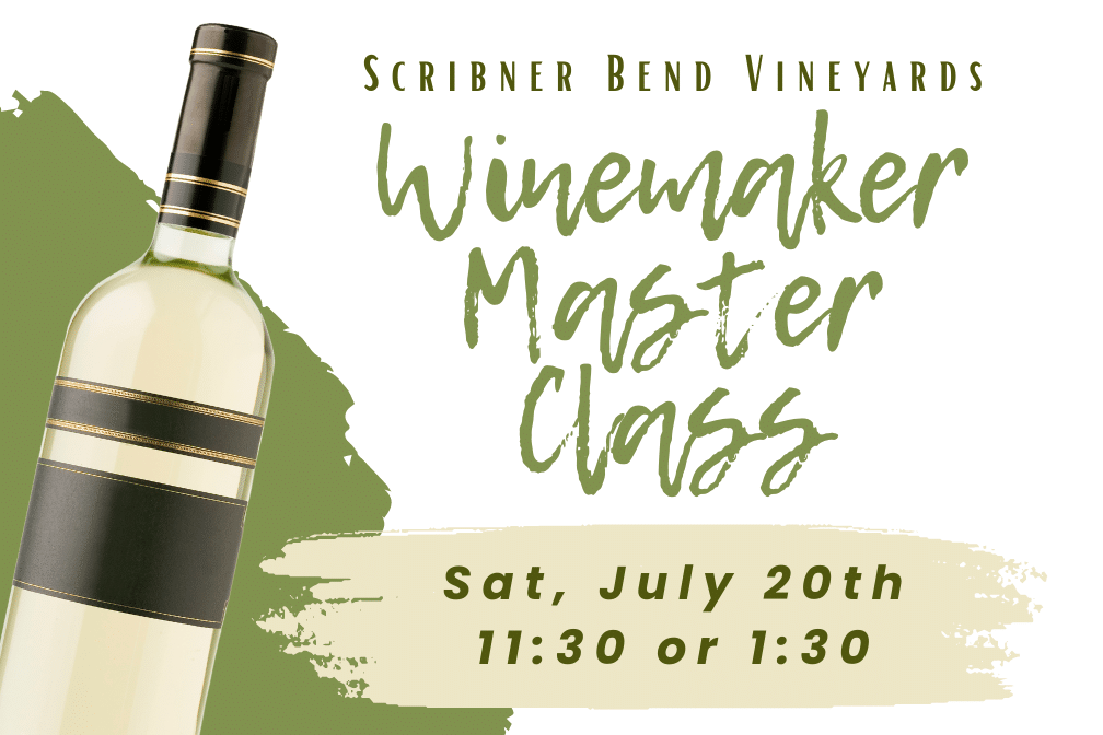 Winemaker Master Class at Scribner Bend Vineyards. At 11:30 and 1:30.