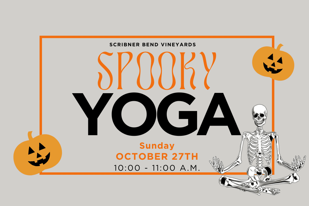 Spooky Yoga at Scribner Bend Vineyards from 10:00-11:00 a.m.