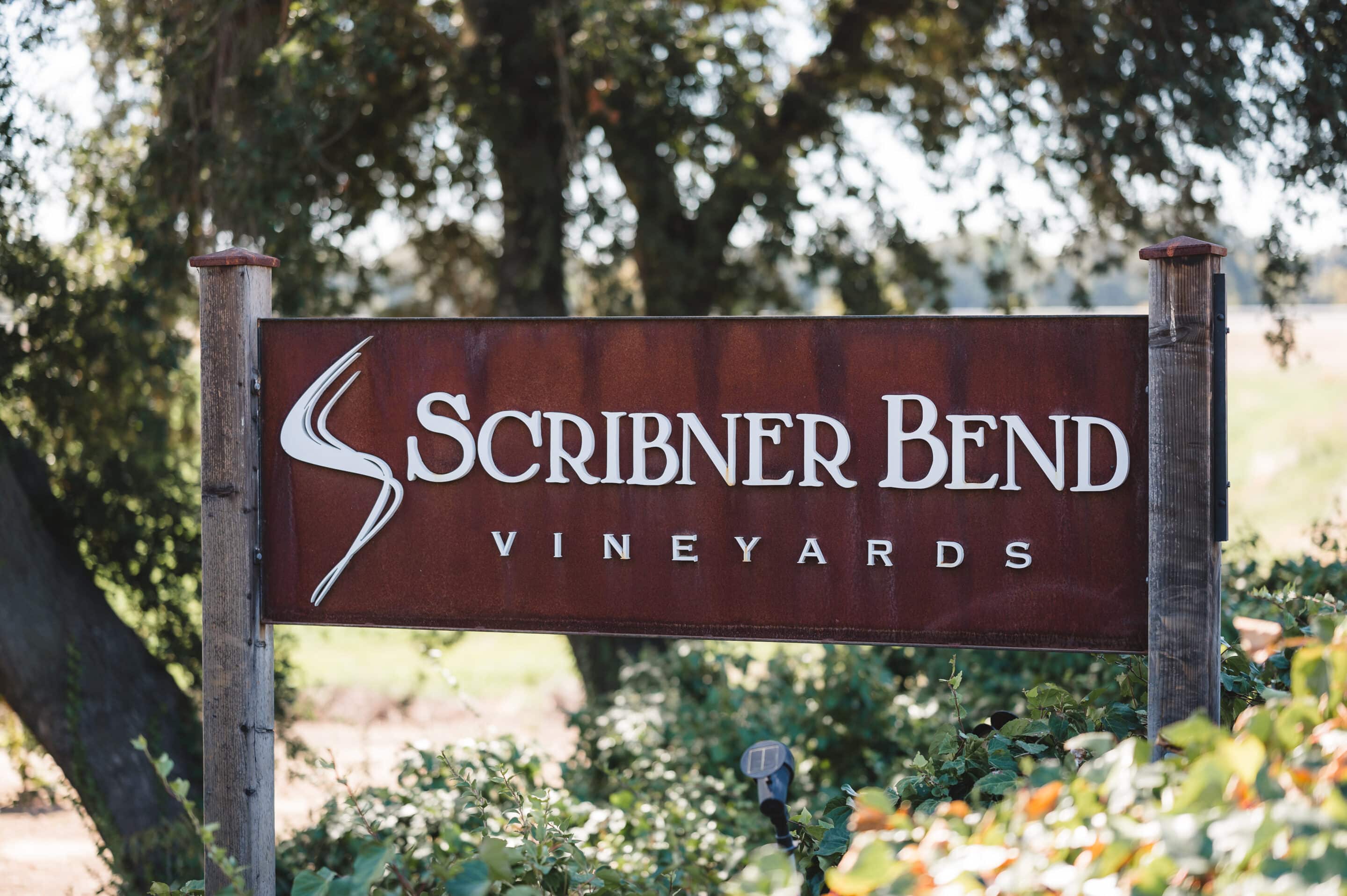 Scribner Bend Vineyards is a must-visit for your Sacramento Bucket List.