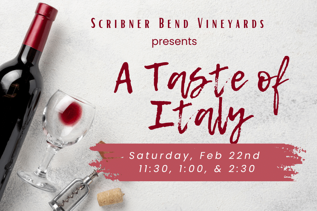 A Taste of Italy at Scribner Bend Vineyards on February 22nd at 11:30, 1:00, and 2:30.