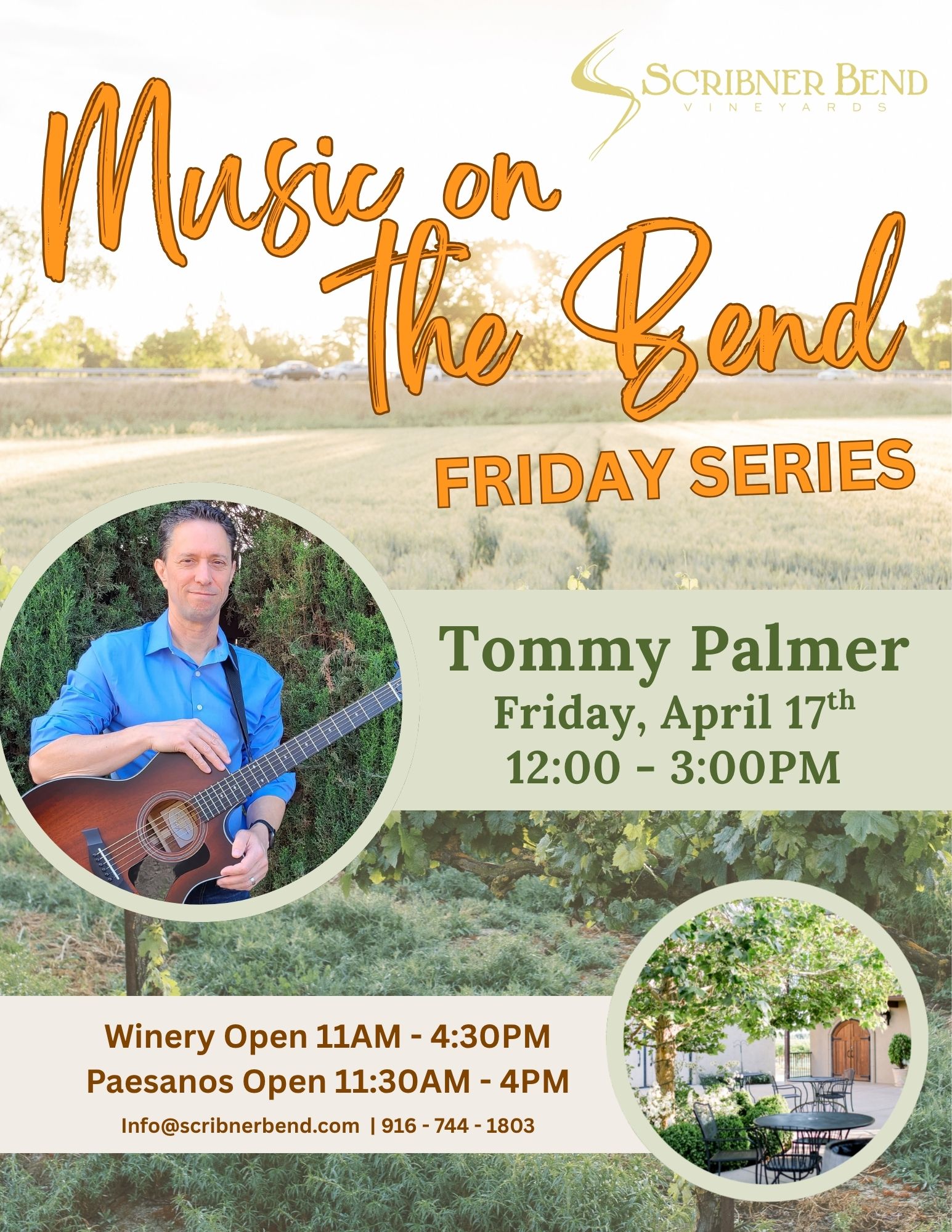 Live music by Tommy Palmer in a sunny courtyard with guests enjoying pizza and wine
