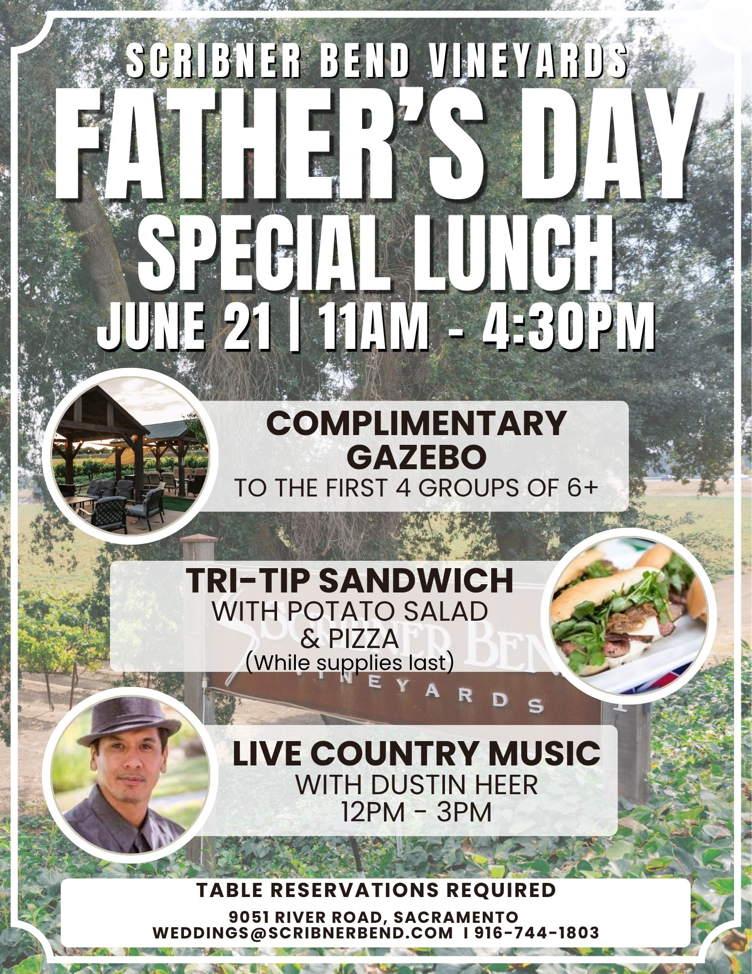 Father’s Day celebration at Scribner Bend Vineyards with live music, food, and vineyard views