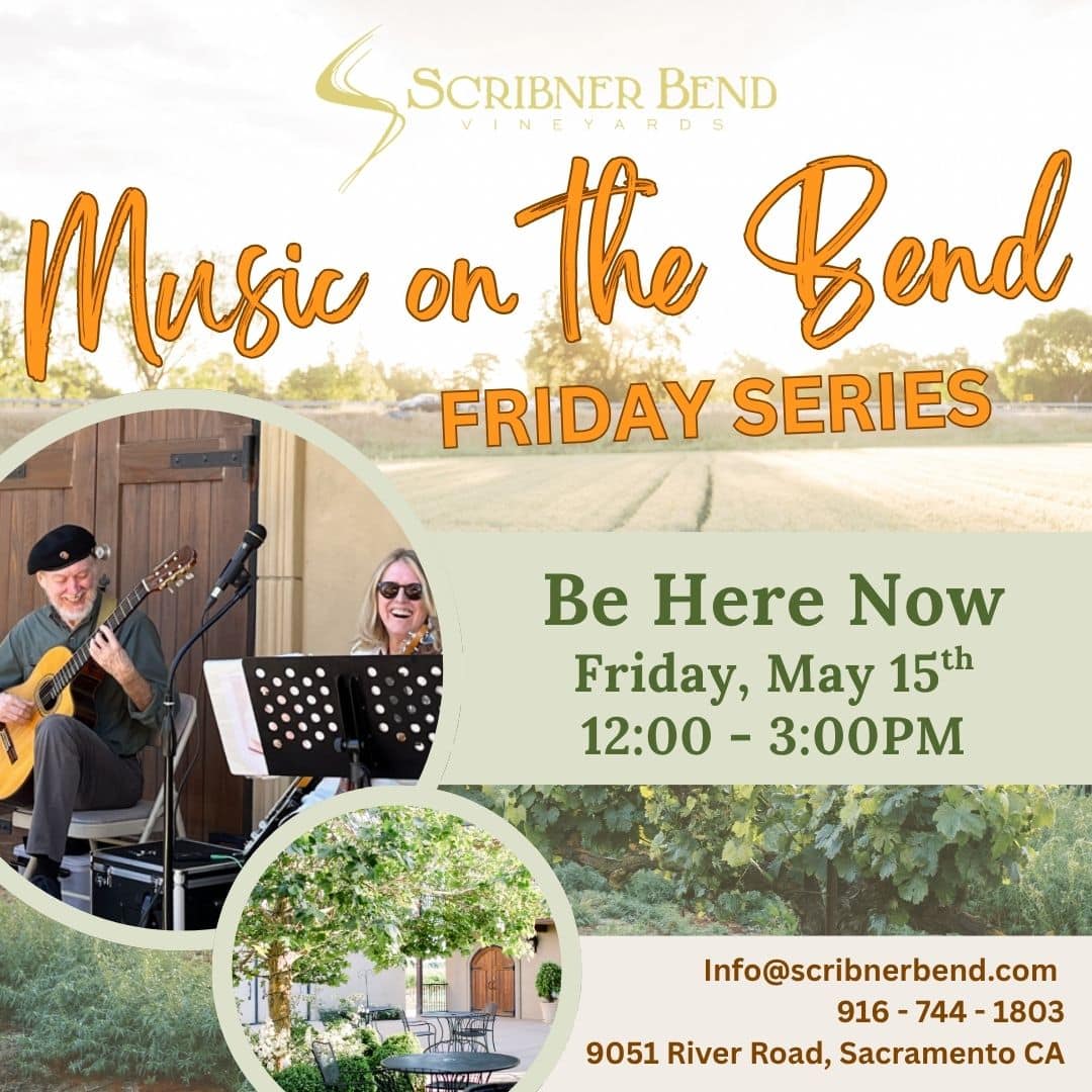 Guests enjoying live music and wine at Music on the Bend Friday Series at Scribner Bend Vineyards in Sacramento, California.