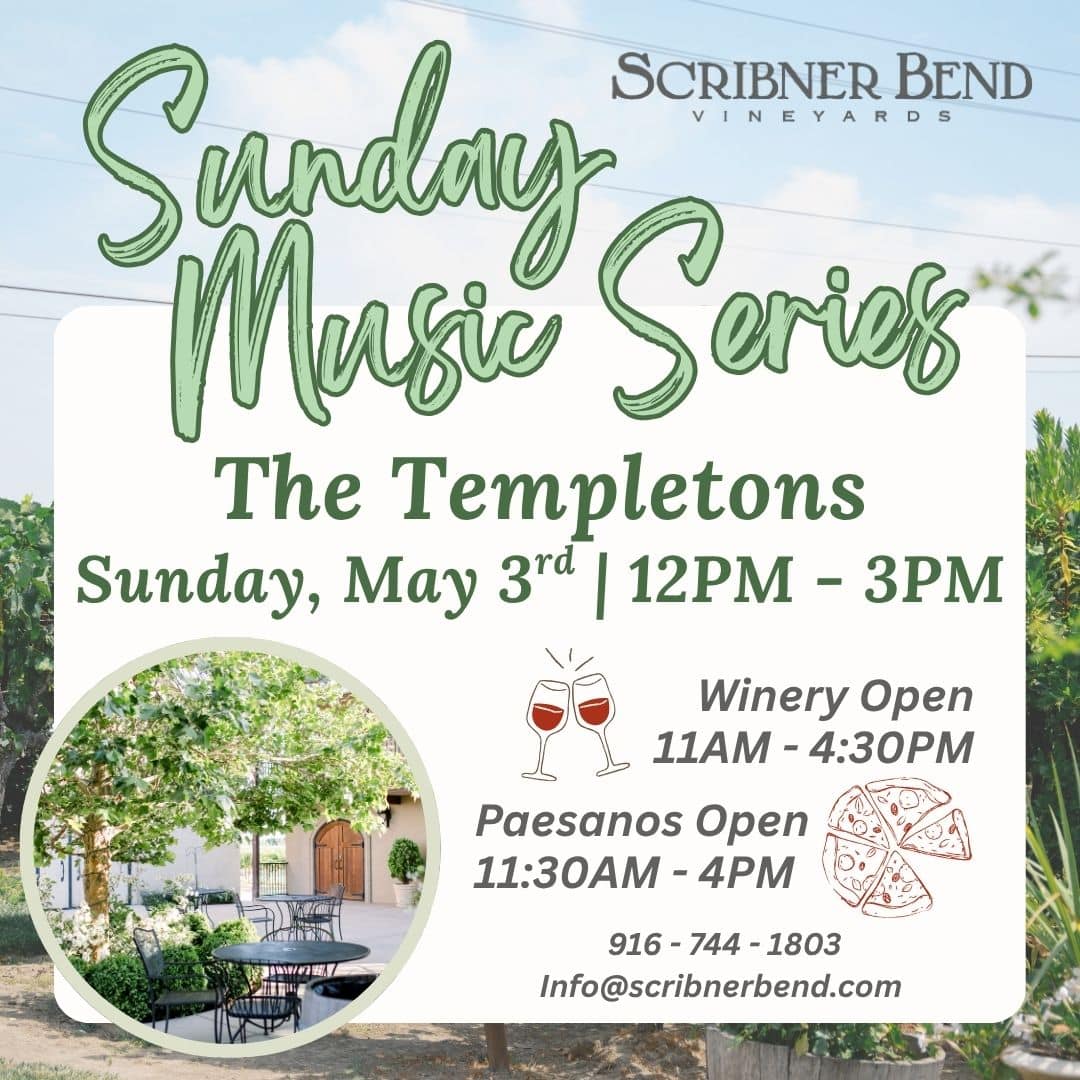 Live music by The Templetons at Scribner Bend Vineyards during a Sunday afternoon event with guests enjoying wine and vineyard views