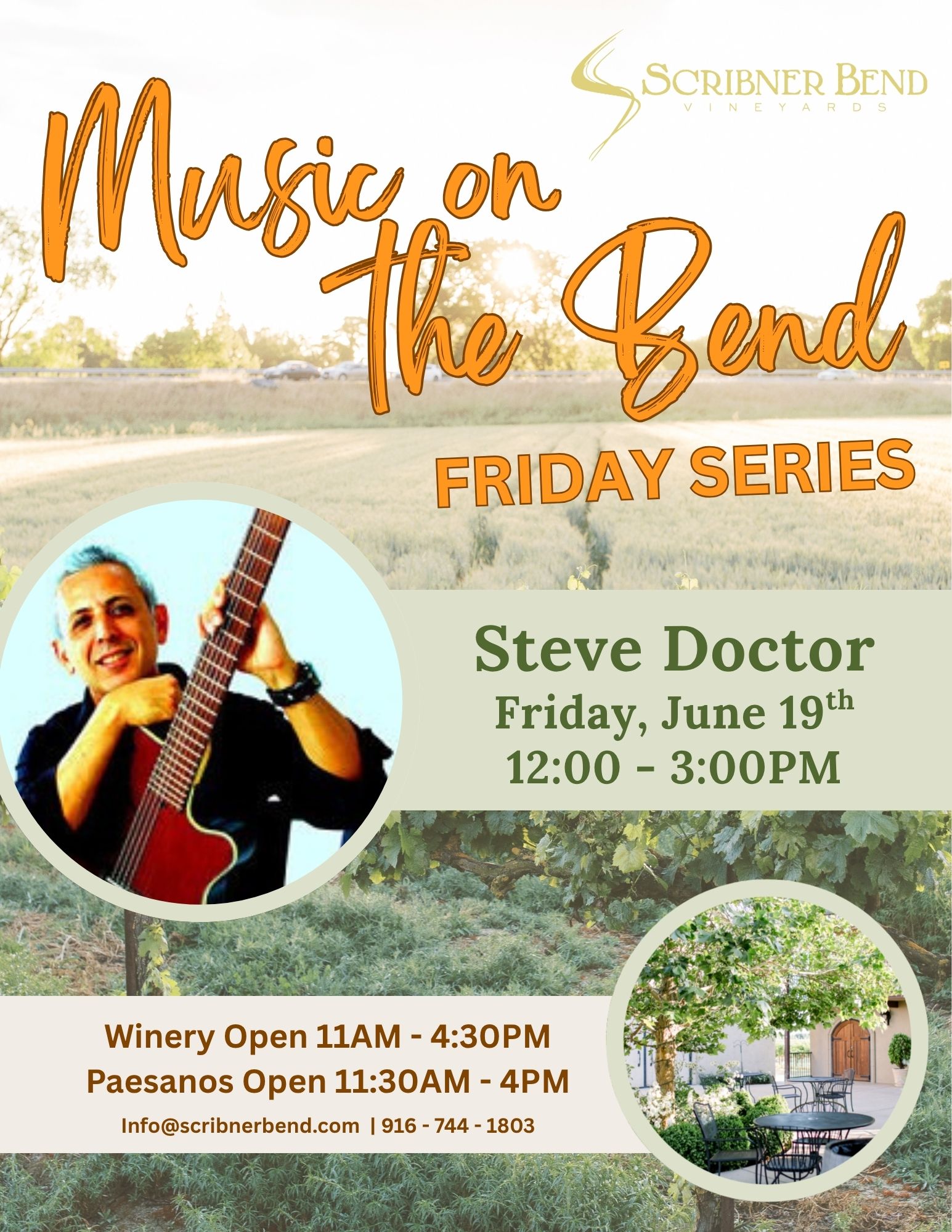 Steve Doctor performing live music at Scribner Bend Vineyards during a Friday afternoon event