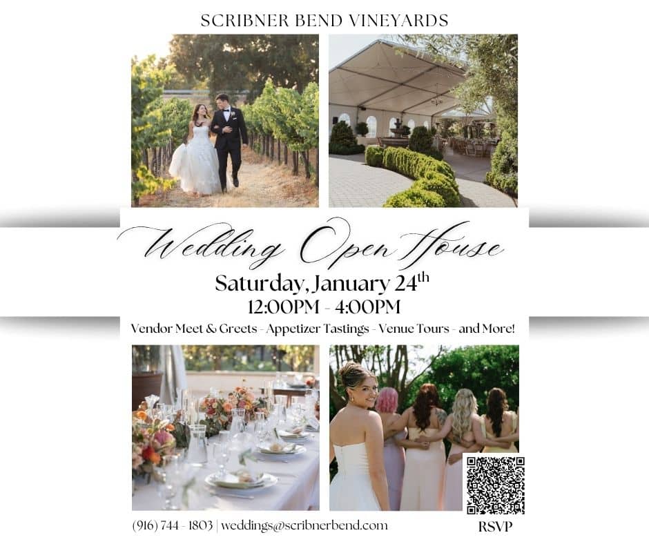 Wedding Open House flyer for Scribner Bend Vineyards featuring a vineyard wedding venue, local wedding vendors, appetizer tastings, venue tours, and event details for Saturday, January 24, from 12:00 PM to 4:00 PM.